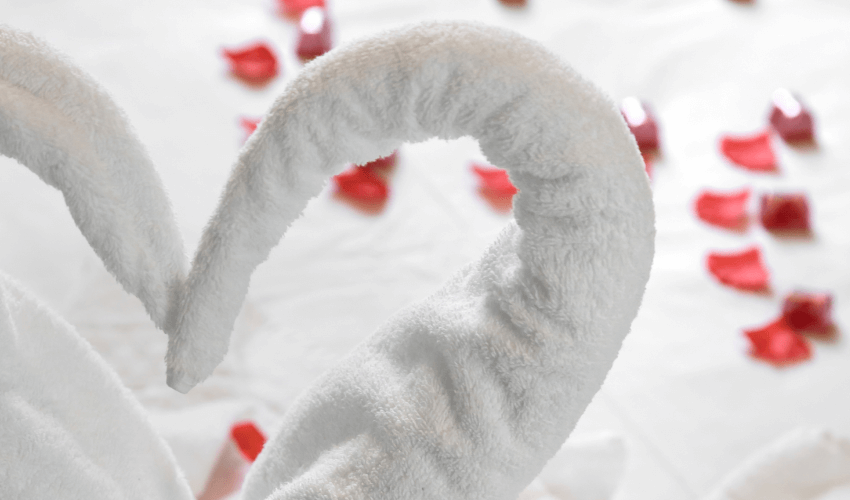 Cama com toalhas brancas em formato de cisne.